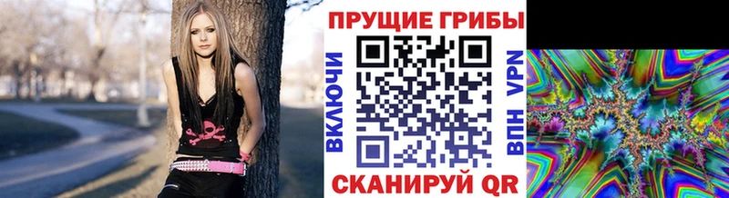 магазин продажи   Темников  Галлюциногенные грибы мухоморы 